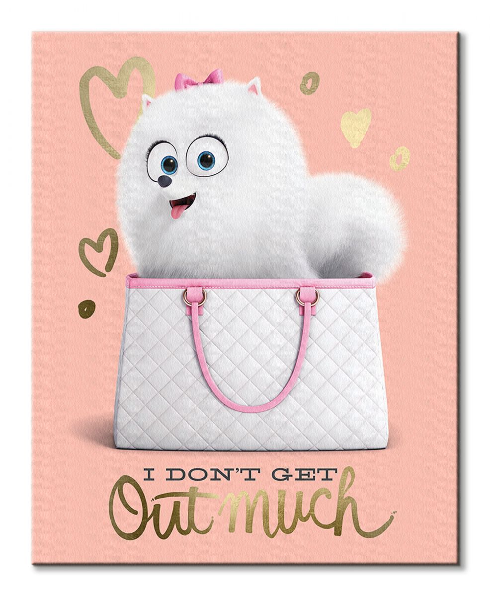 I don t have pets. The secret life of pets 1 poster. the secret life of pets poster. pets poster.